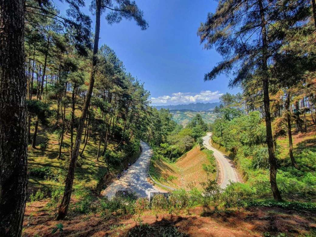 The way to Yen Minh Forest